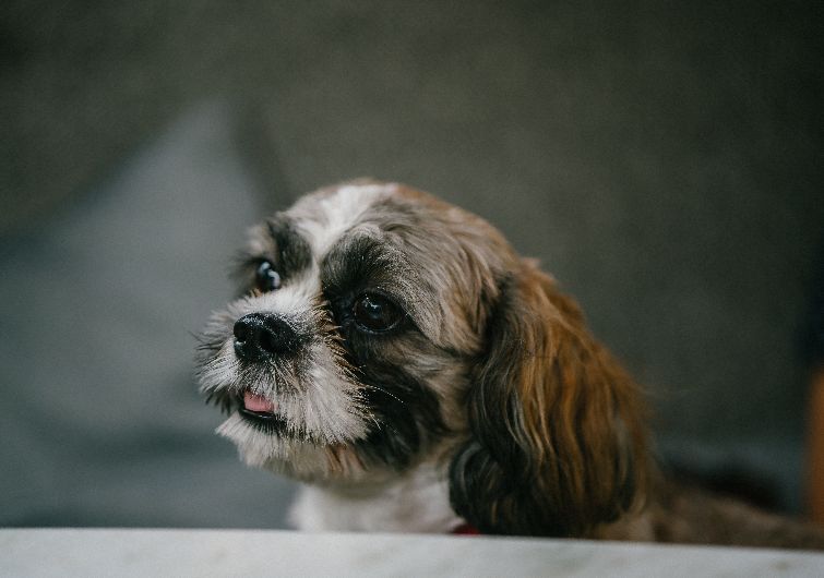 Lecturas para un día de mierda&nbsp;(I)