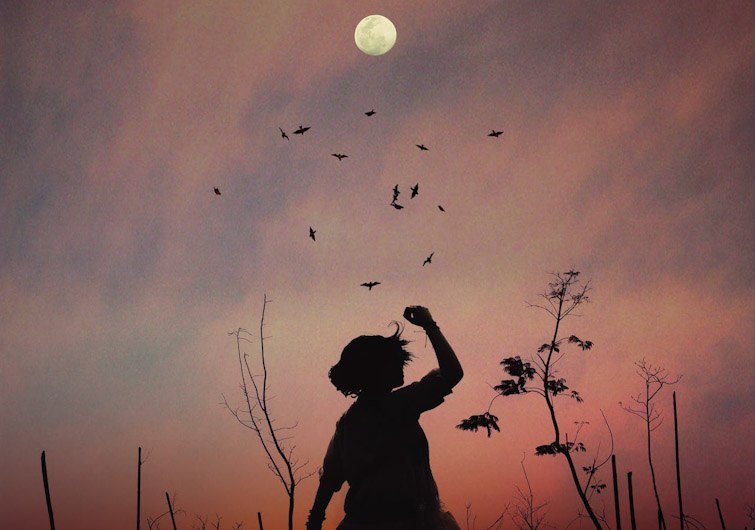 Pajarito de las uvas