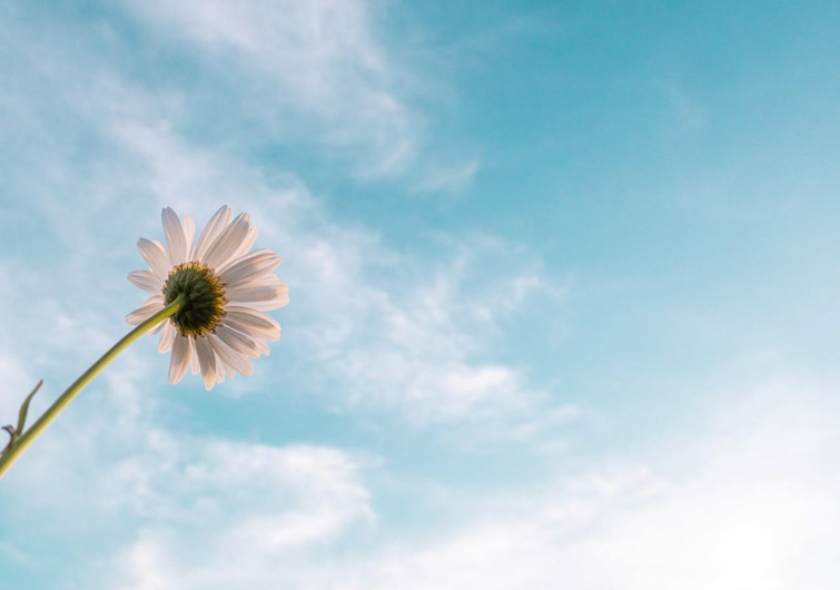 Mientras perdemos el&nbsp;tiempo